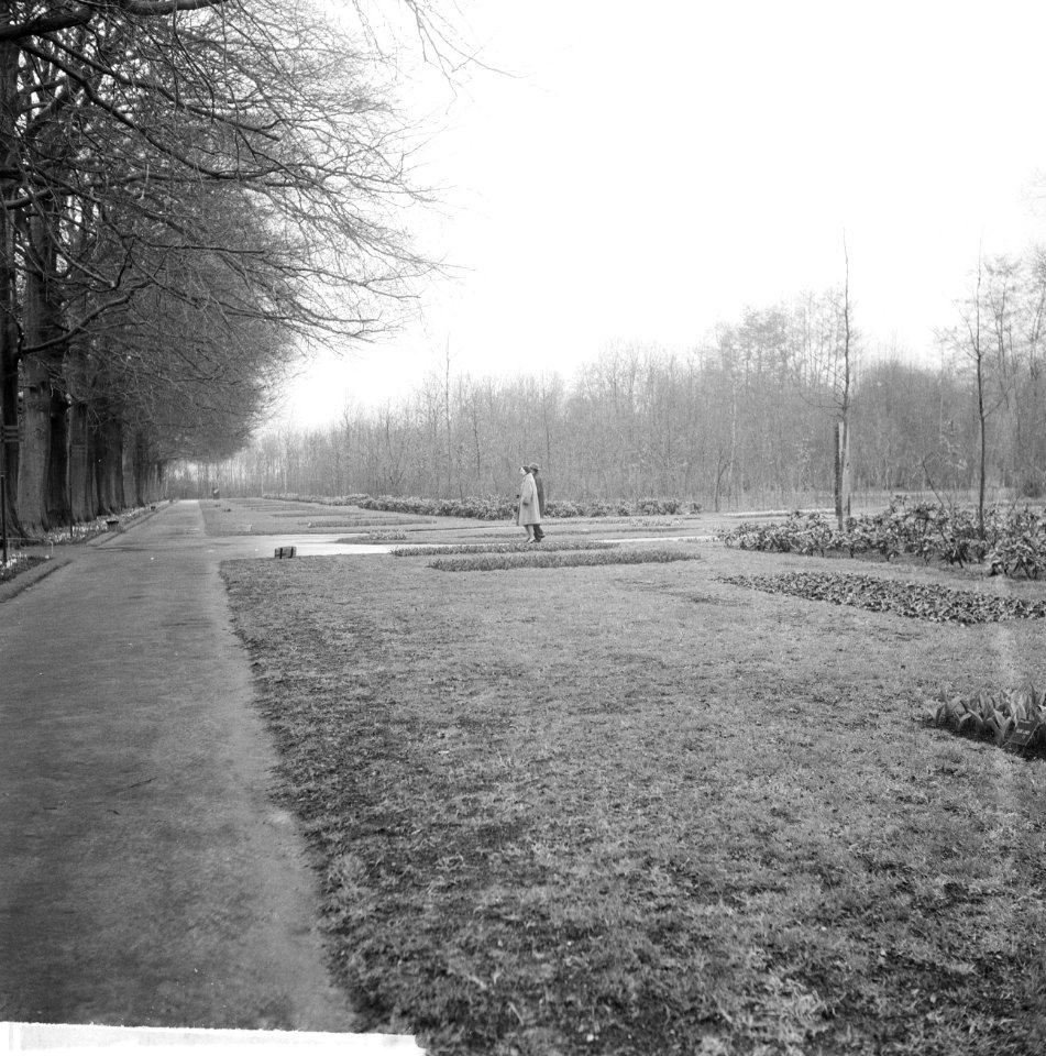 De kassen op het Keukenhof waar alleen de tulpen in bloei stonden, Keukenhof, Bestanddeelnr 916-2450