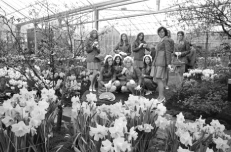 De Keukenhof geopend bloemenmeisjes, Bestanddeelnr 925-4950