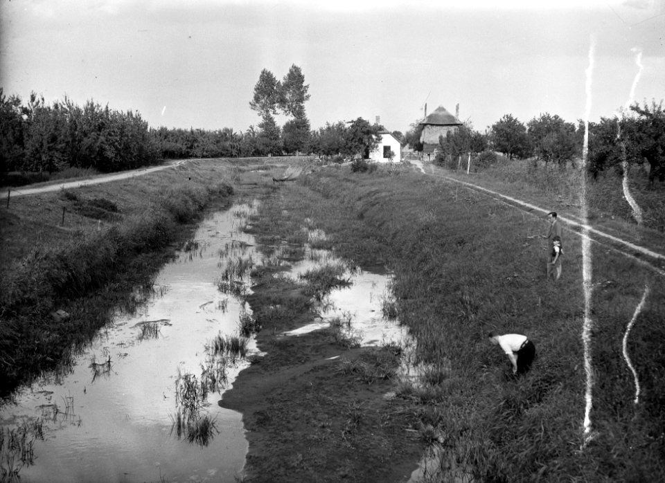 De Linge staat droog, Bestanddeelnr 902-3350