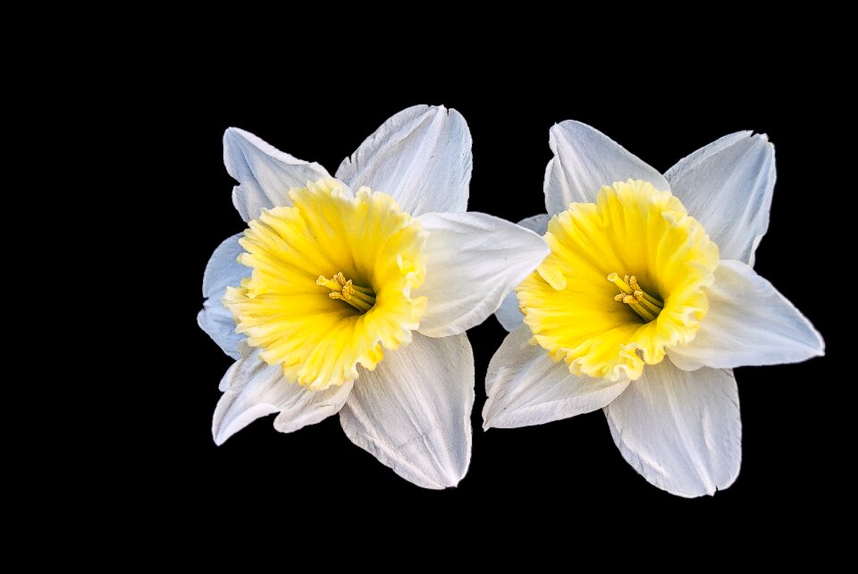 Spring creative nature