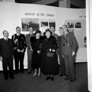 De koningin met haar gevolg en diverse autoriteiten, Bestanddeelnr 255-8114