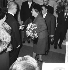 De koningin tijdens een begroeting, Bestanddeelnr 918-4524