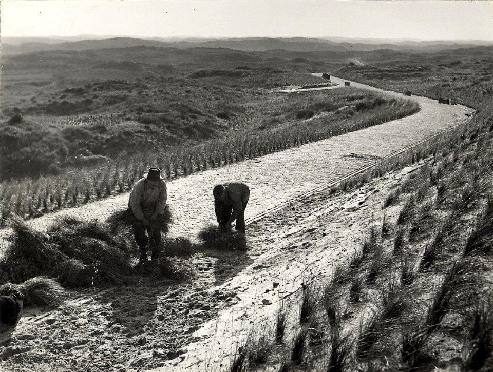 De laatste werkzaamheden, aan een nieuw rijwielpad van Zandvoort naar Noordwijk. Aangekocht in 1976 van fotograaf C. de Boer. Identificatienummer 54-010302, NL-HlmNHA 1478 25900 K 38