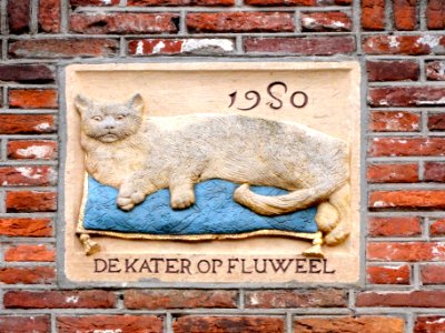 De kater op fluweel Fluwelenburgwal14 Monnickendam