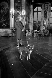De koningin, op de voorgrond haar hondje, Bestanddeelnr 926-8798