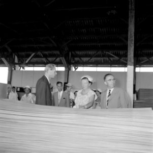 De koningin bezoekt de Bruynzeelfabriek in Beekhuizen, Bestanddeelnr 252-4566
