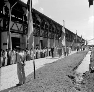 De koningin bezoekt de Bruynzeel Suriname Houtmaatschappij in Beekhuizen, Bestanddeelnr 252-4555
