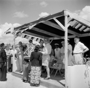 De koningin krijgt in Nickerie door vertegenwoordigers van de Javaanse bevolking, Bestanddeelnr 252-4613
