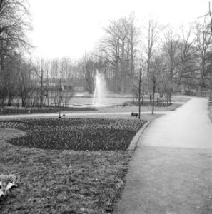 De kassen op het Keukenhof waar alleen de tulpen in bloei stonden, Keukenhof, Bestanddeelnr 916-2453