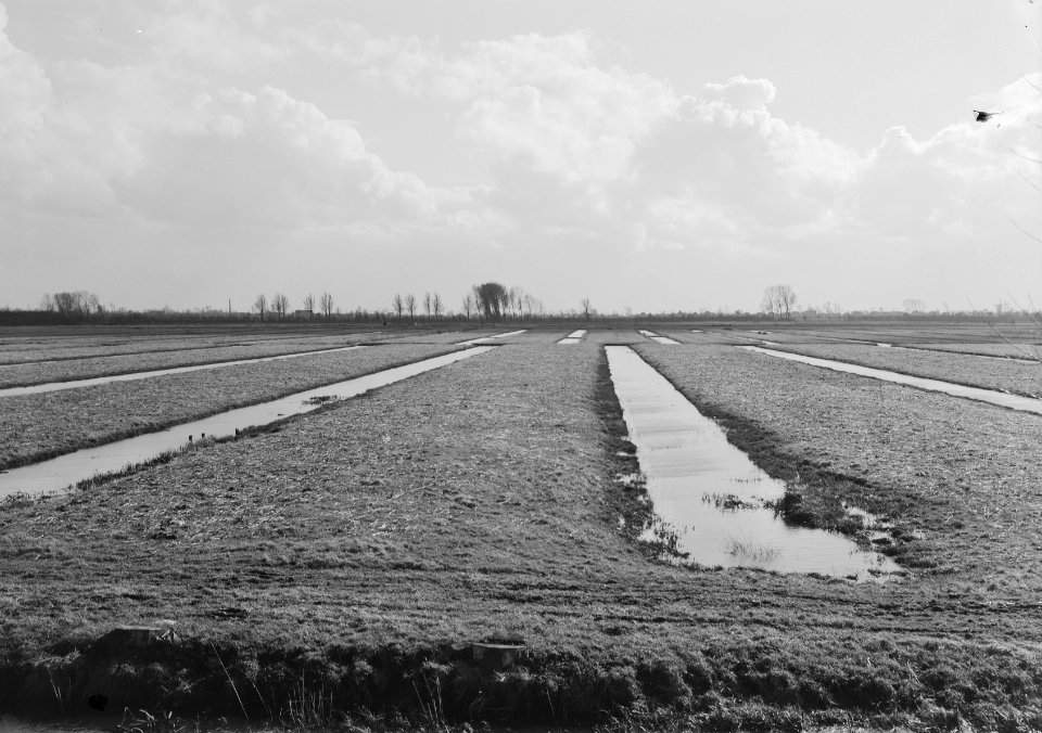 De Dullaert (Sprang-Capelle), Bestanddeelnr 159-0845