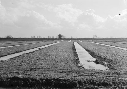 De Dullaert (Sprang-Capelle), Bestanddeelnr 159-0845