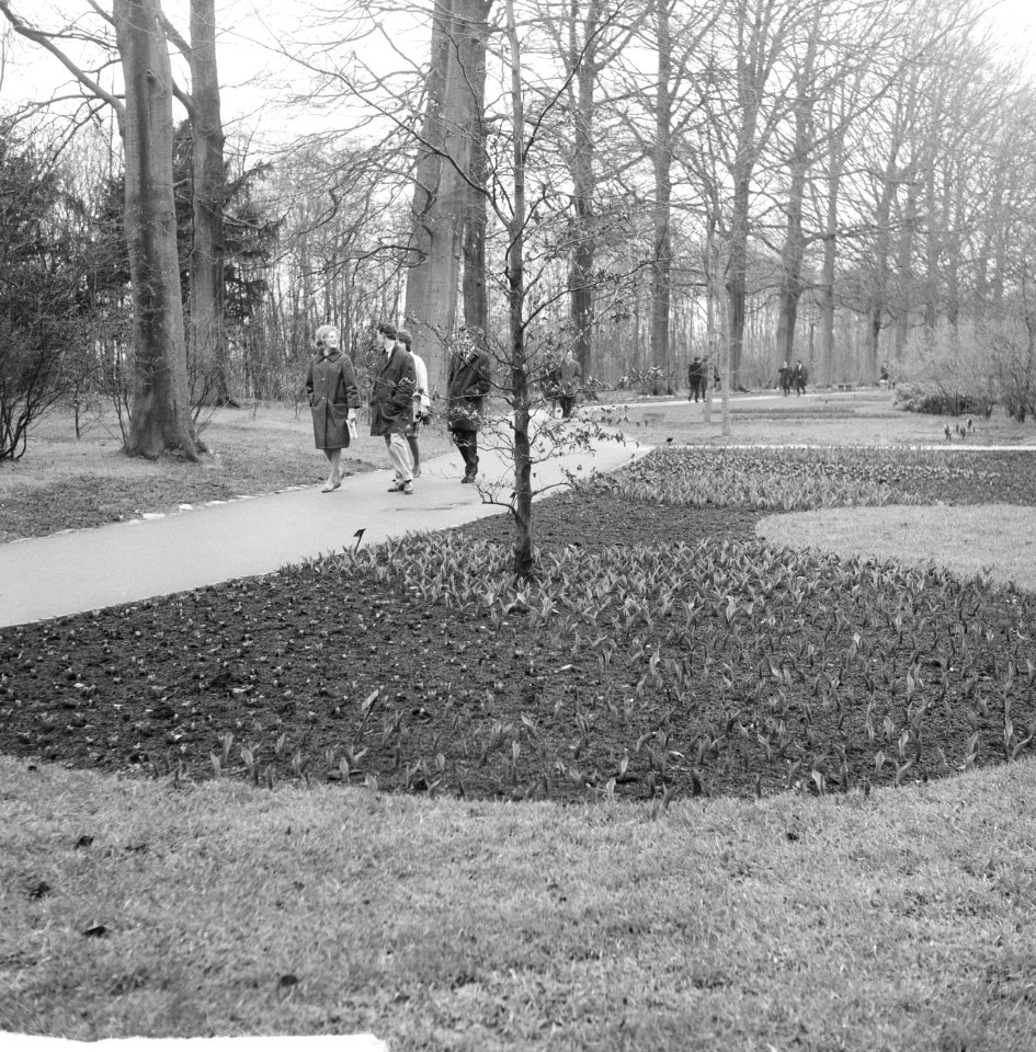 De kassen op het Keukenhof waar alleen de tulpen in bloei stonden, Keukenhof, Bestanddeelnr 916-2454