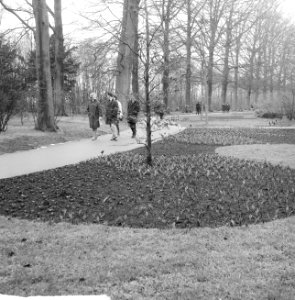 De kassen op het Keukenhof waar alleen de tulpen in bloei stonden, Keukenhof, Bestanddeelnr 916-2454