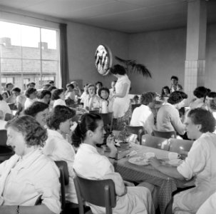De kantine van Kerko, Bestanddeelnr 254-2983