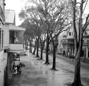 De Keizerstraat in Paramaribo, Bestanddeelnr 252-6161