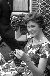 De druivenprinses wordt voorgesteld aan de Pers. Boven Ans Vis , midden Edith va, Bestanddeelnr 912-4066