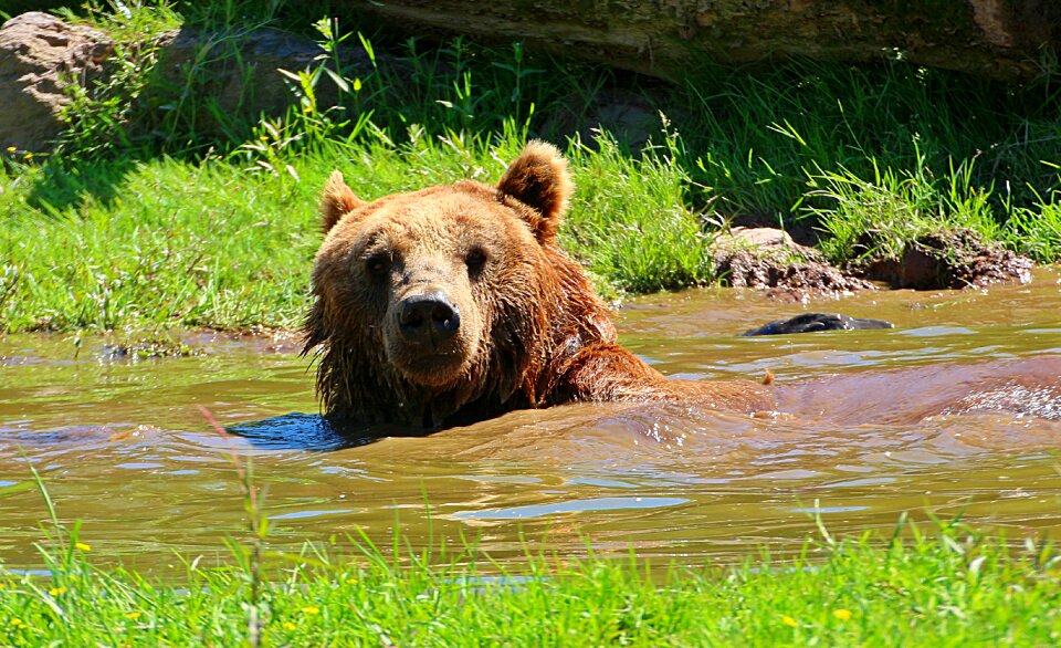 To bathe refresh yourself relaxed