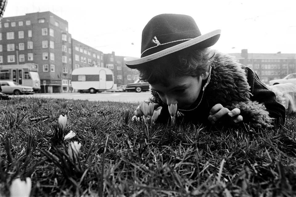 De eerste krokusjes jongetje in het gras, Bestanddeelnr 930-6757