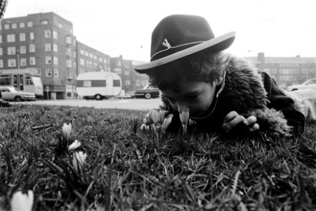 De eerste krokusjes jongetje in het gras, Bestanddeelnr 930-6757