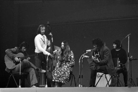 De Engelse folkgroup Pentangle., Bestanddeelnr 922-1752