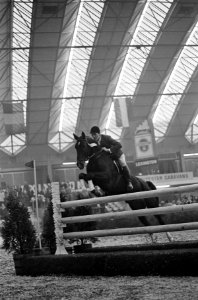 De Duitse springruiter Gerd Wiltfang terwijl hij met zijn paard Freude over een , Bestanddeelnr 918-3517