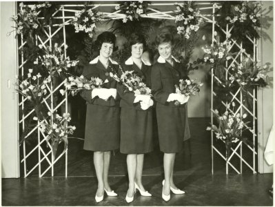 De drieling uit de bollenstreek Hilda, Lissa, Saskia. NL-HlmNHA 5400467556