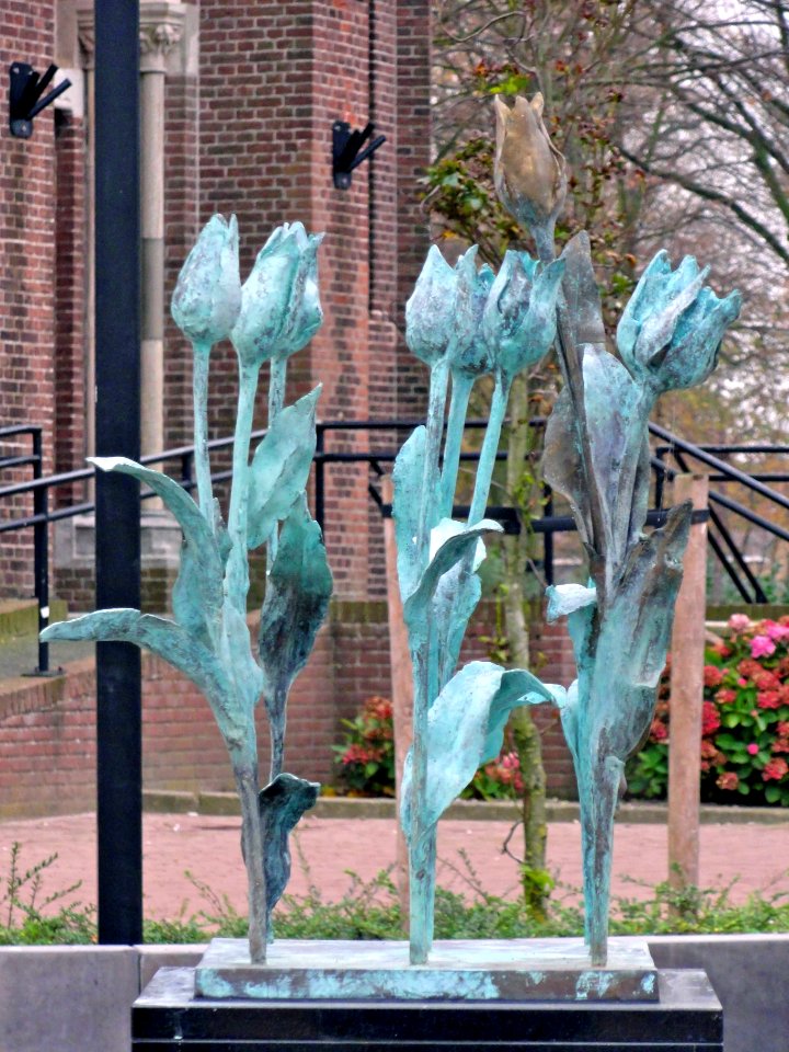 De dwarsdrijver door Ad Haring Voorhout