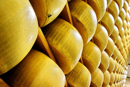 Italian food dairy