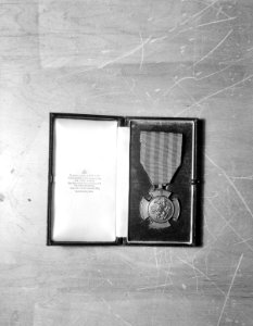 De Bronzen Leeuw, Bestanddeelnr 935-0343