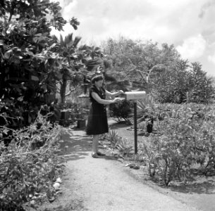 De brievenbus in de tuin in de wijk Rio Canario bij de olieraffinaderij van de C, Bestanddeelnr 252-7761