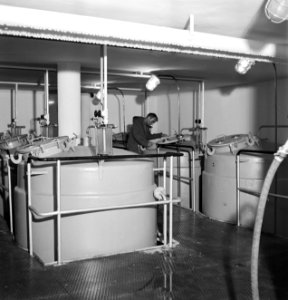 De brouwerij van de Surinaamse Brouwerij in Paramaribo, Bestanddeelnr 252-5053