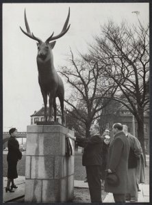 De burgemeester van Arnhem heeft in tegenwoordigheid van de Franse ambassadeur h, Bestanddeelnr 476041 035