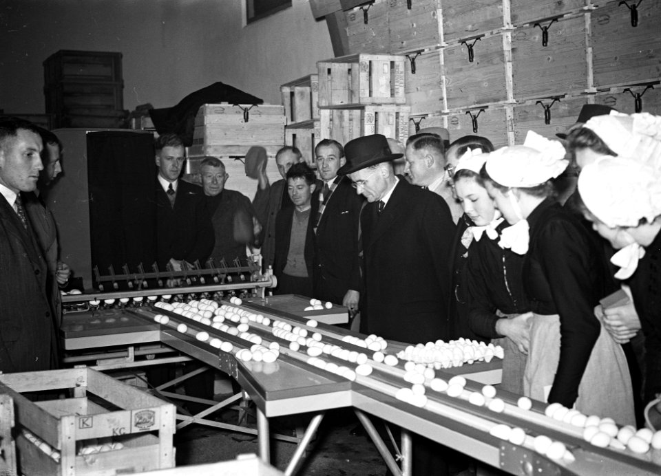 De eerste grote nationale Pluimvee en Konijnen tentoonstelling te Barneveld werd, Bestanddeelnr 901-9509