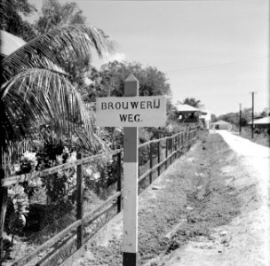 De Brouwerijweg in Paramaribo, Bestanddeelnr 252-4990