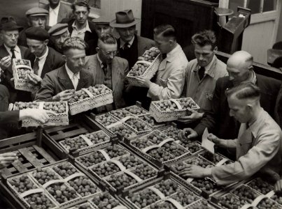 De eerste partij aangevoerde aardbeien worden op de veiling door de Rijkskeurdienst en kenners gekeurd (19 juni). Vanaf 1960 was de aardbeienveiling in de Parallelweg. Identifiatienummer 54-004339