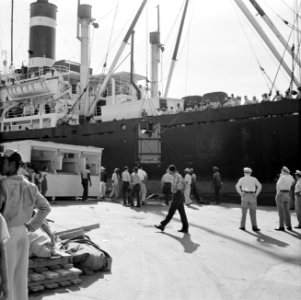 De aankomst van de paarden voor de koninklijke calèche in de haven van Willemsta, Bestanddeelnr 252-2744