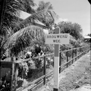 De Brouwerijweg in Paramaribo, Bestanddeelnr 252-4991