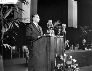 De burgemeester van West-Berlijn Willy Brandt spreekt in Utrecht,, Bestanddeelnr 910-2961