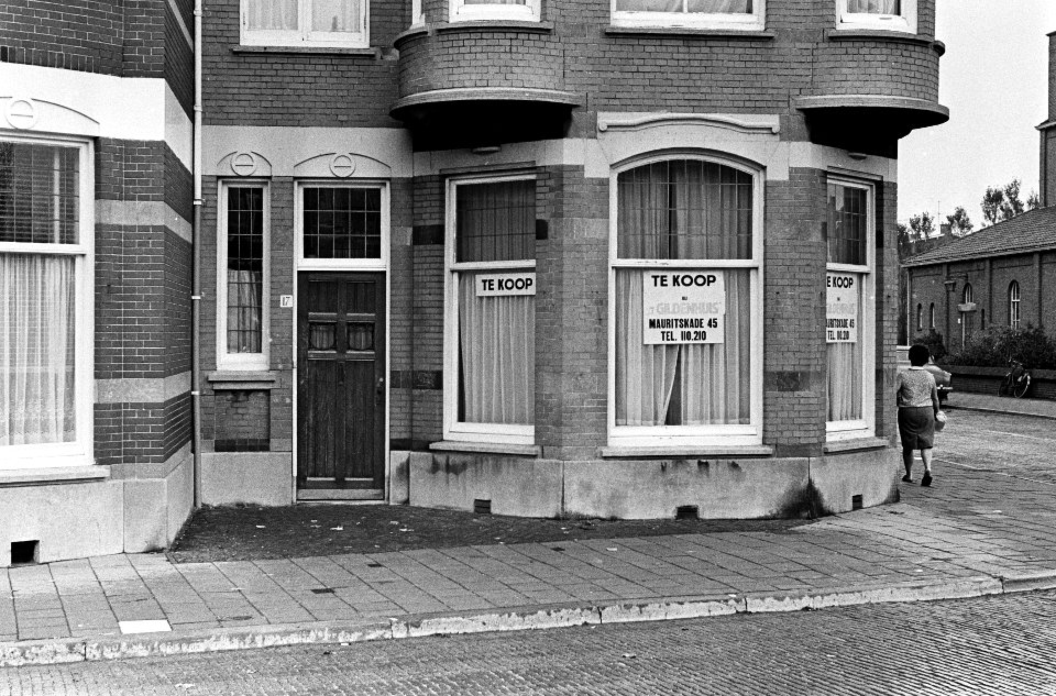 De ambtswoning van de Chinese zaakgelastigde op de Adriaan Goekooplaan te Den Ha, Bestanddeelnr 919-3708