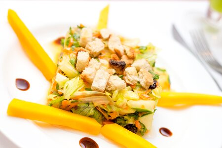 Salad gastronomy food photo