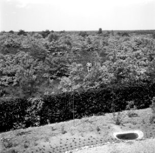 De dirigent Eduard van Beinum gefotografeerd in de natuur vanuit het raam van hu, Bestanddeelnr 254-2591