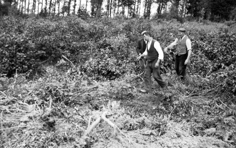 De arbeiders lopen naar de staaldraadstroppen om deze weer om andere stoven te b, Bestanddeelnr 195-0012