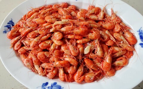 Food dining seafood