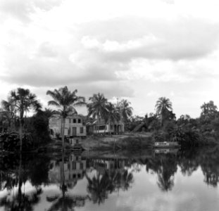 De door hoog water overstroomde plantage Leonsberg bij Paramaribo, Bestanddeelnr 252-5631