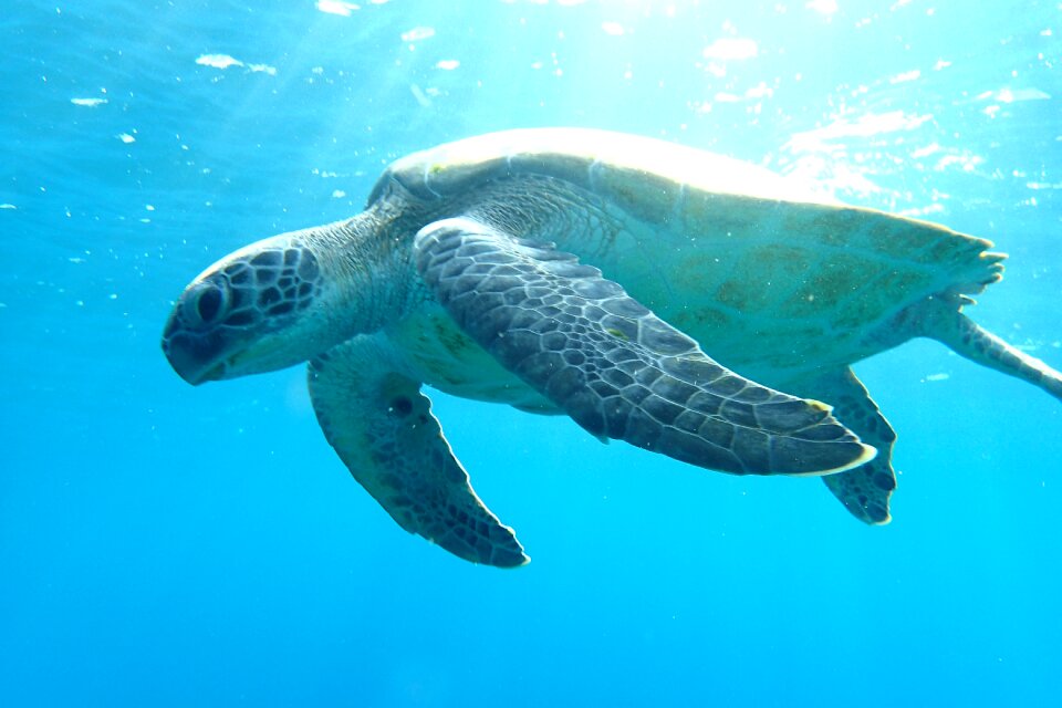 Underwater sea water