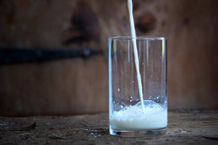 Cow's milk drink fresh photo