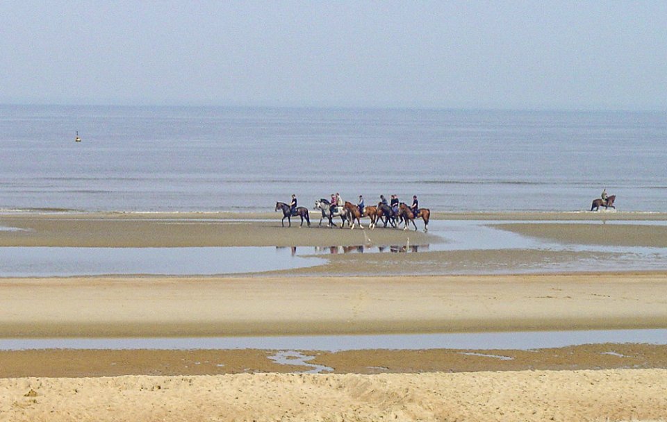 De Haan 2004-04-25 Belgium 02