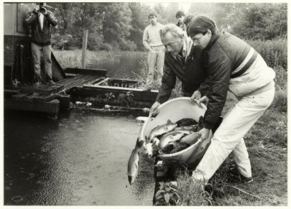 De Haarlemse hengelsportvereniging zet 200 karpers uit in de Fuikvaart. NL-HlmNHA 54015575