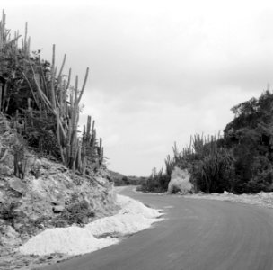 De Franse Pas op Zuid-Aruba, Bestanddeelnr 252-3398 photo