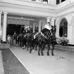 De caleche met paarden rijdt voor bij het Gouvernementspaleis in Paramaribo, Bestanddeelnr 252-4211